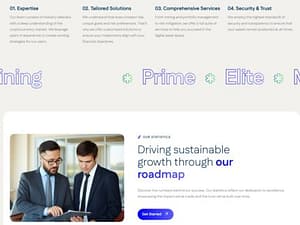 Premium GC HYIP Template 42